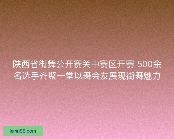 陕西省街舞公开赛关中赛区开赛 500余名选手齐聚一堂以舞会友展现街舞魅力
